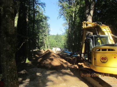 2. Leitung Reute - Wald Reute